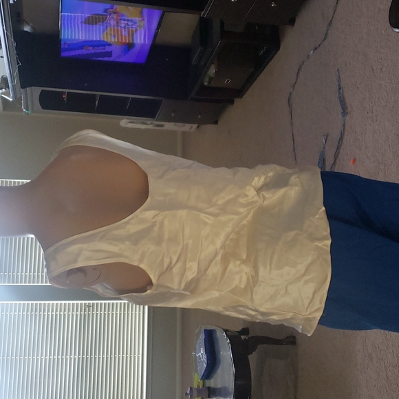 M Shimmery, Soft, and slinky Scoopneck cami - Picture 5 of 7